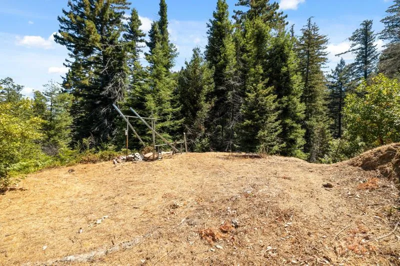 2472 Fanning Grade Ben Lomond, CA 95005