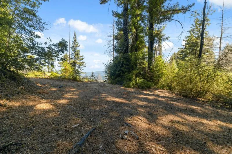 2472 Fanning Grade Ben Lomond, CA 95005