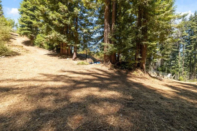 2472 Fanning Grade Ben Lomond, CA 95005