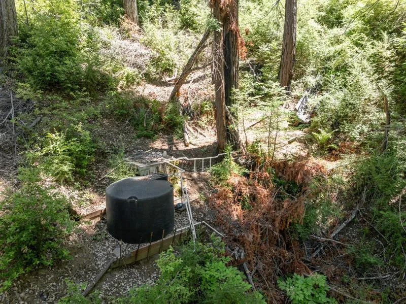 2472 Fanning Grade Ben Lomond, CA 95005