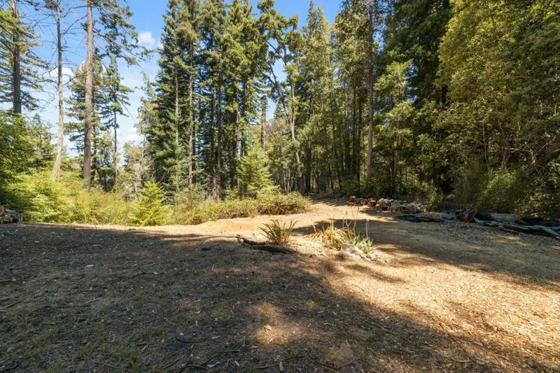 2472 Fanning Grade Ben Lomond, CA 95005