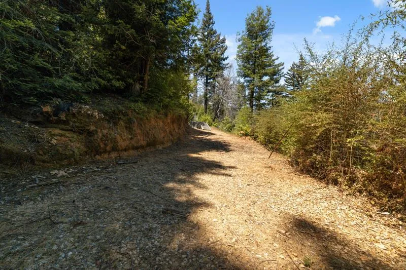 2472 Fanning Grade Ben Lomond, CA 95005