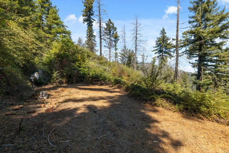 2472 Fanning Grade Ben Lomond, CA 95005