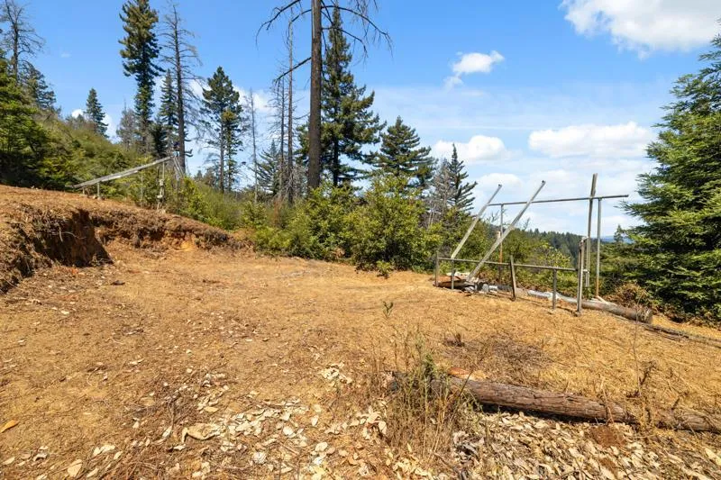 2472 Fanning Grade Ben Lomond, CA 95005