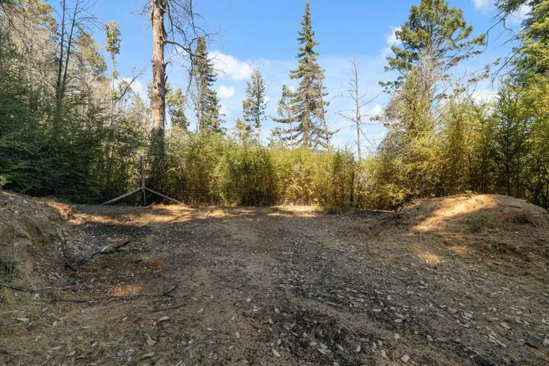 2472 Fanning Grade Ben Lomond, CA 95005