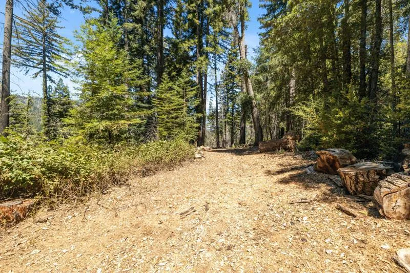 2472 Fanning Grade Ben Lomond, CA 95005