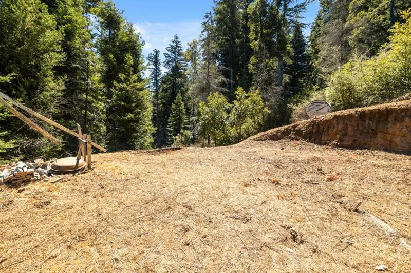 2472 Fanning Grade Ben Lomond, CA 95005