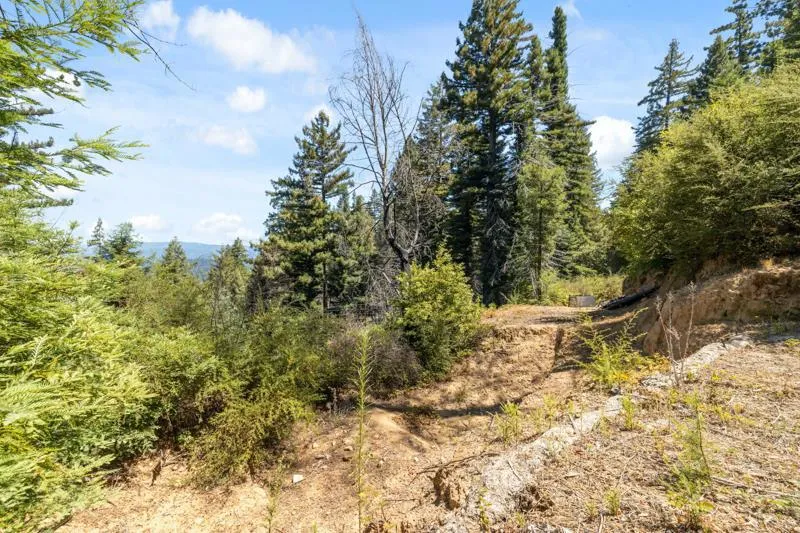 2472 Fanning Grade Ben Lomond, CA 95005