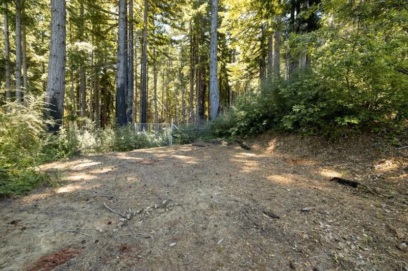 2472 Fanning Grade Ben Lomond, CA 95005