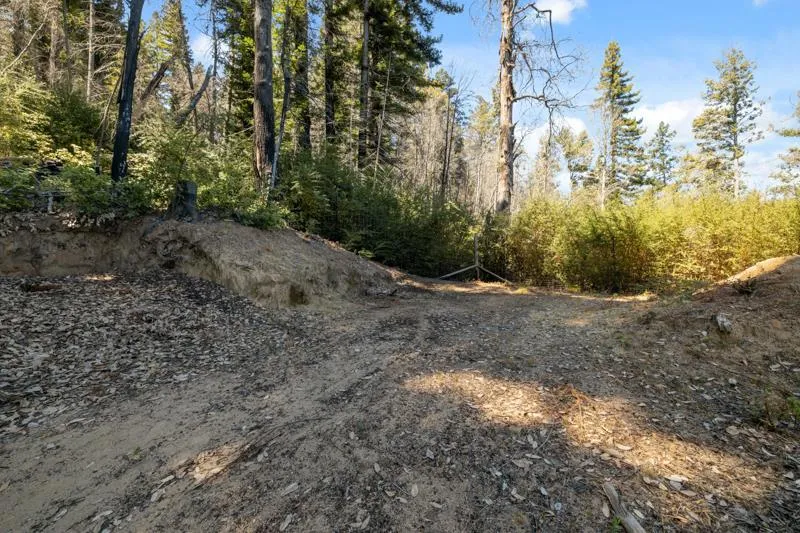 2472 Fanning Grade Ben Lomond, CA 95005