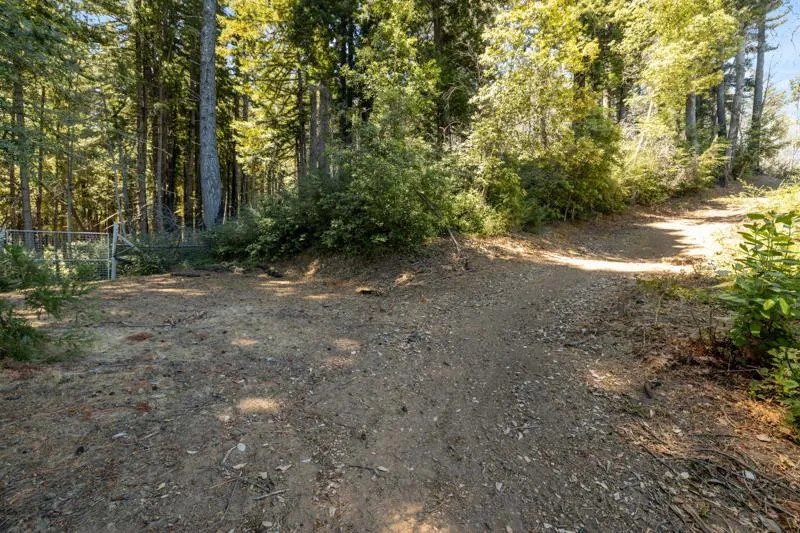 2472 Fanning Grade Ben Lomond, CA 95005