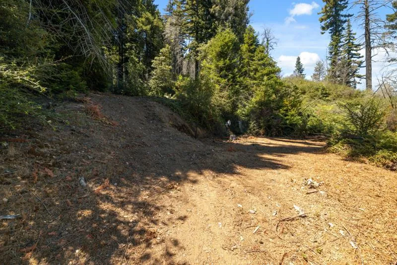 2472 Fanning Grade Ben Lomond, CA 95005