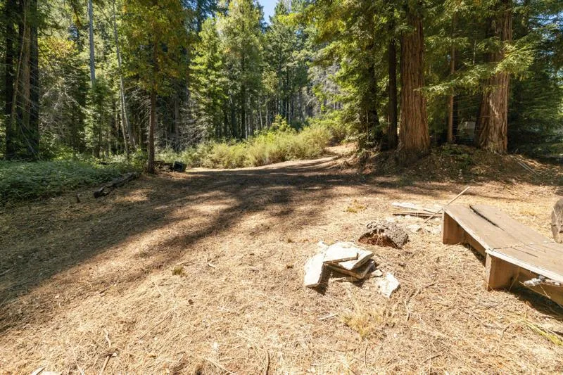 2472 Fanning Grade Ben Lomond, CA 95005