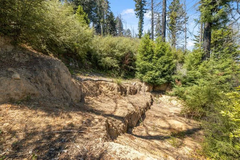 2472 Fanning Grade Ben Lomond, CA 95005