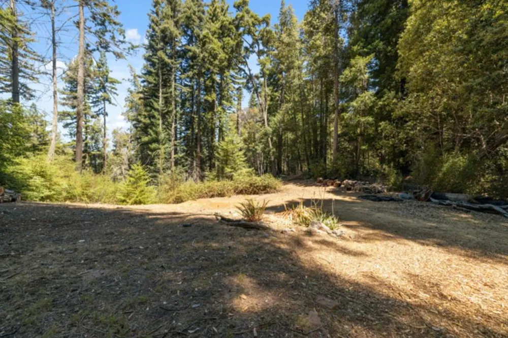 2472 Fanning Grade Ben Lomond, CA 95005