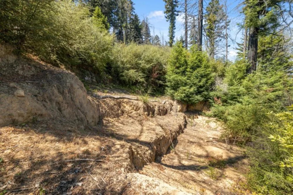 2472 Fanning Grade Ben Lomond, CA 95005