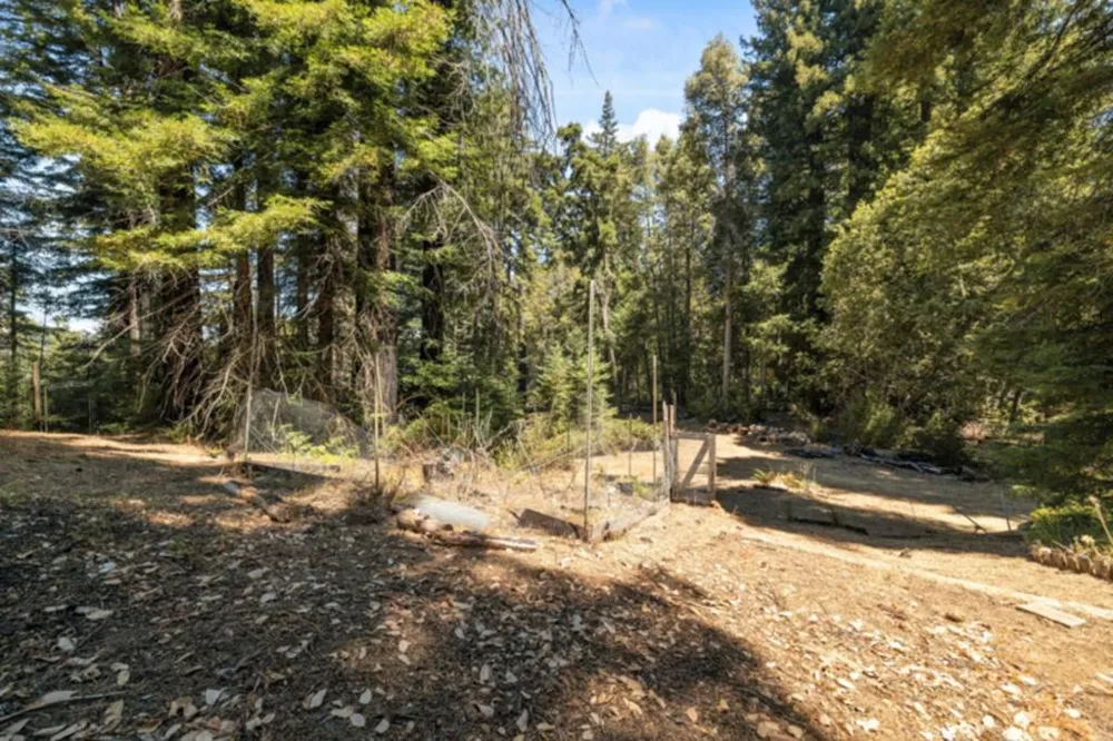 2472 Fanning Grade Ben Lomond, CA 95005