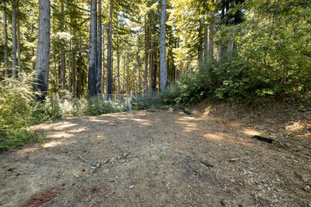 2472 Fanning Grade Ben Lomond, CA 95005