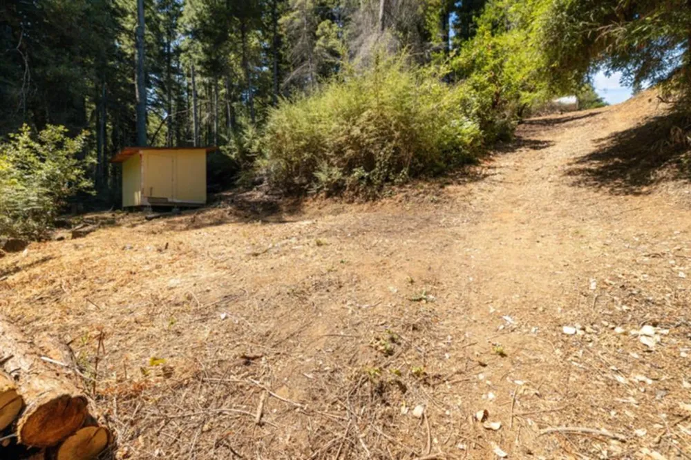 2472 Fanning Grade Ben Lomond, CA 95005