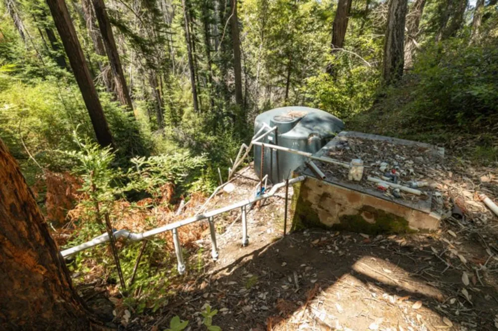 2472 Fanning Grade Ben Lomond, CA 95005