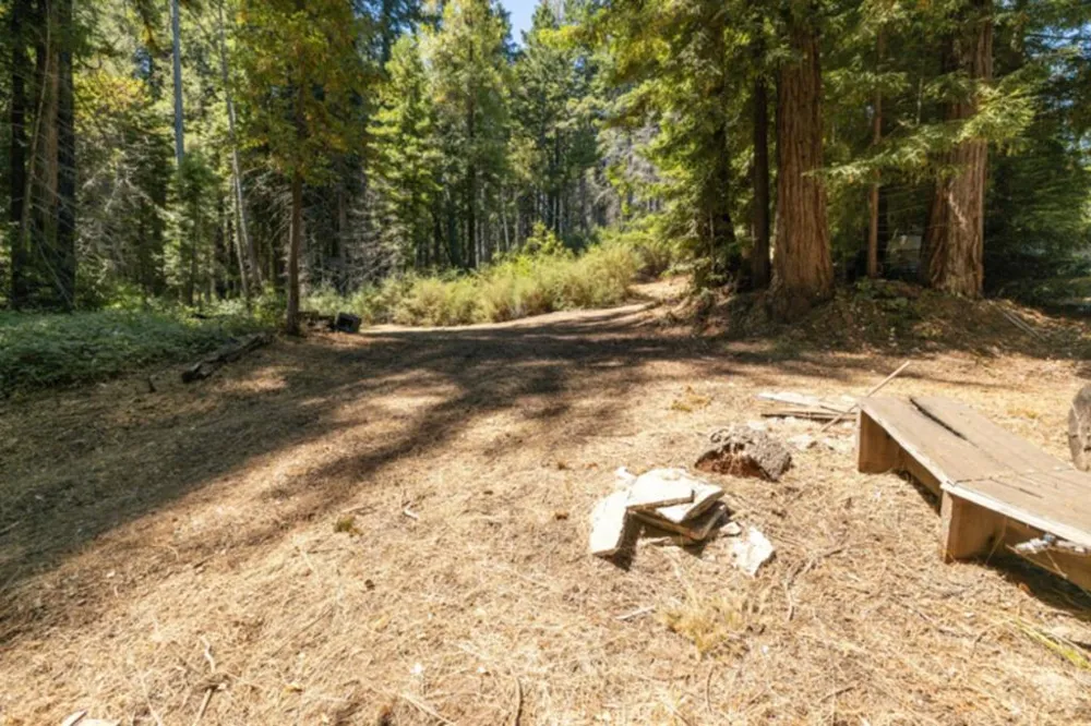 2472 Fanning Grade Ben Lomond, CA 95005