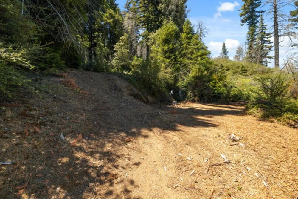 2472 Fanning Grade Ben Lomond, CA 95005