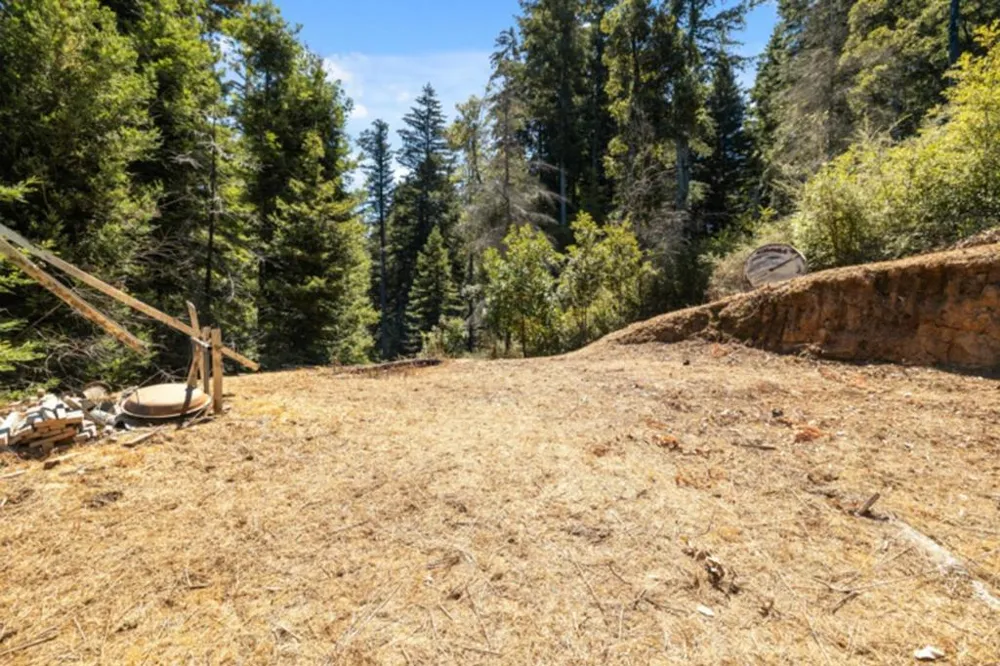 2472 Fanning Grade Ben Lomond, CA 95005