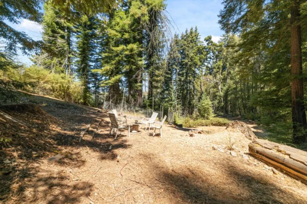 2472 Fanning Grade Ben Lomond, CA 95005