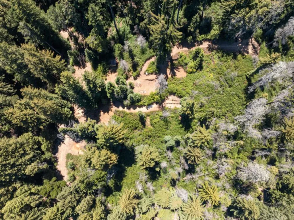 2472 Fanning Grade Ben Lomond, CA 95005