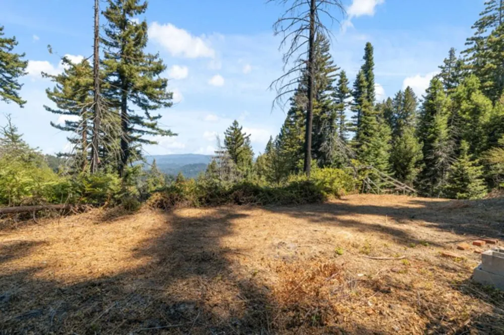 2472 Fanning Grade Ben Lomond, CA 95005