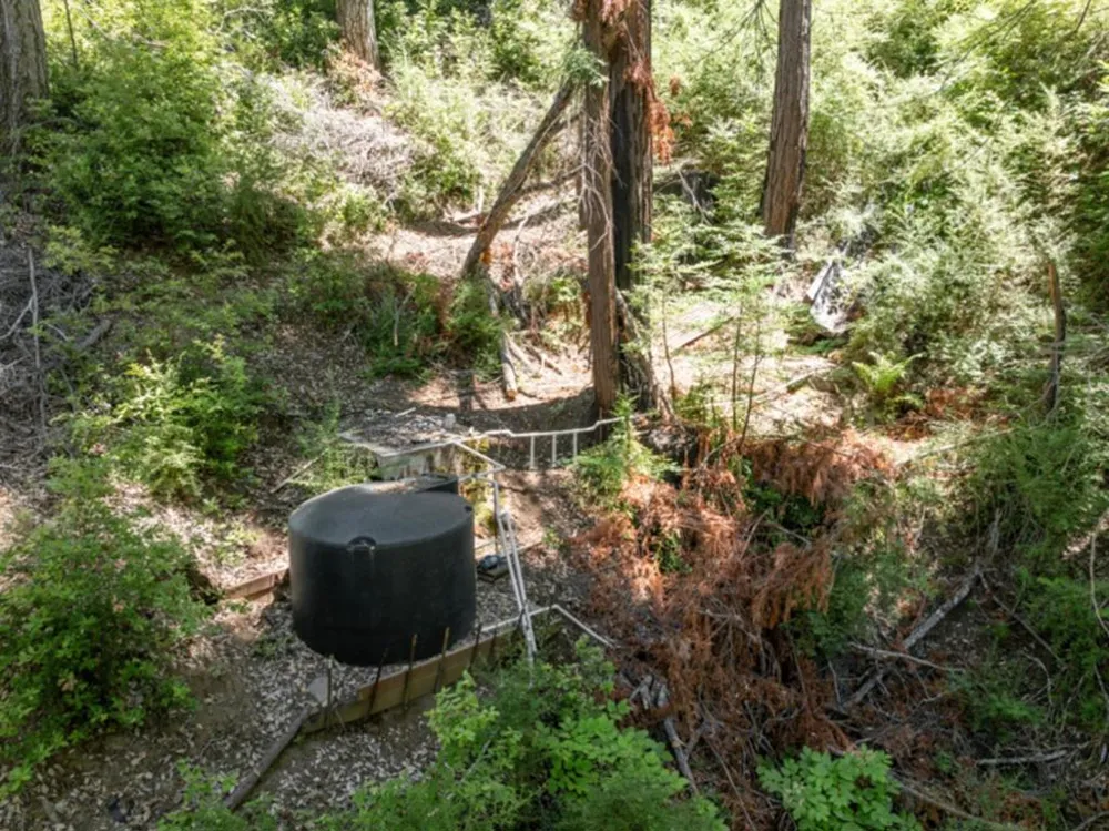 2472 Fanning Grade Ben Lomond, CA 95005