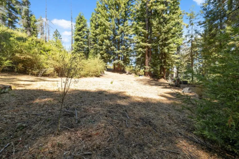 2472 Fanning Grade Ben Lomond, CA 95005