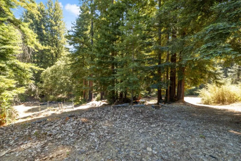 2472 Fanning Grade Ben Lomond, CA 95005