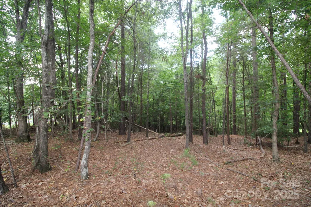 Lot 1 Lake Wylie Drive Rock Hill, SC 29732