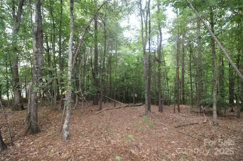Lot 1 Lake Wylie Drive