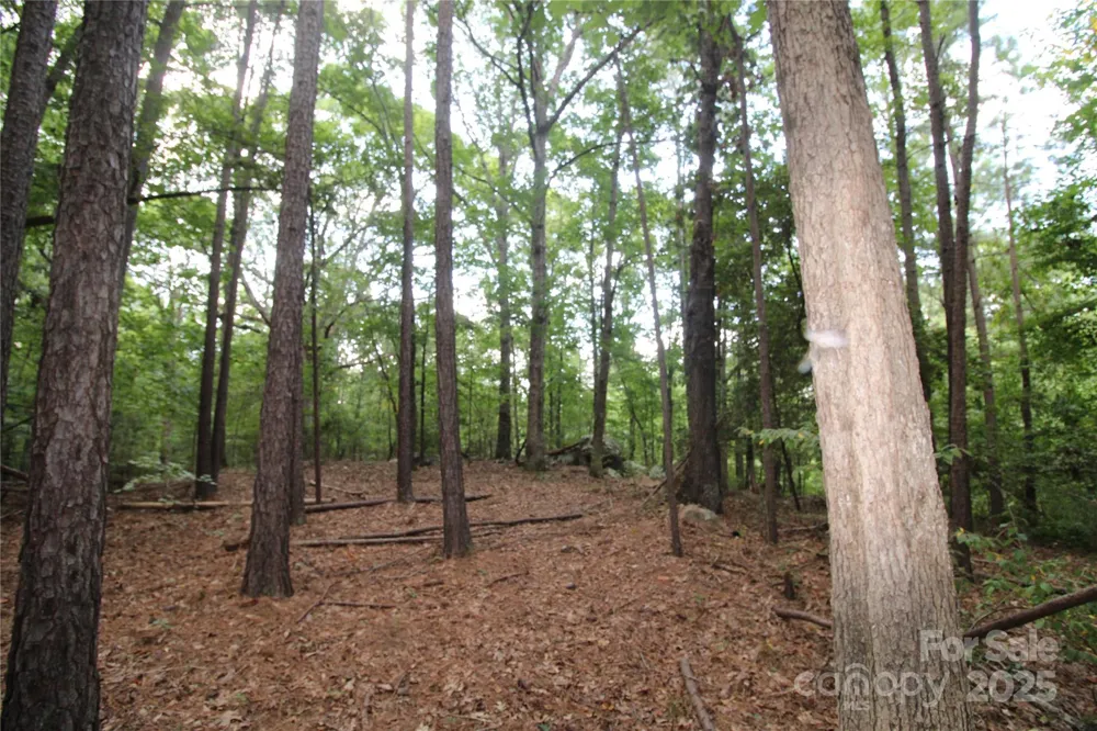 Lot 1 Lake Wylie Drive Rock Hill, SC 29732
