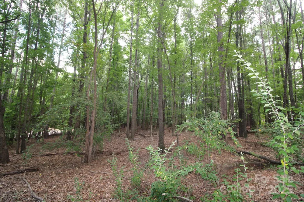 Lot 1 Lake Wylie Drive Rock Hill, SC 29732