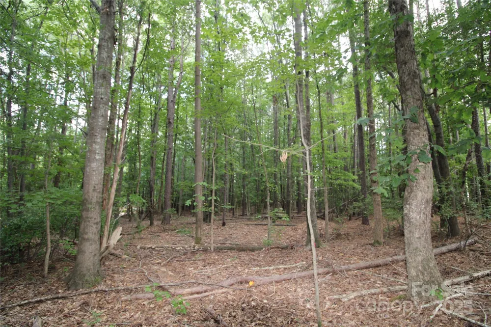 Lot 1 Lake Wylie Drive Rock Hill, SC 29732