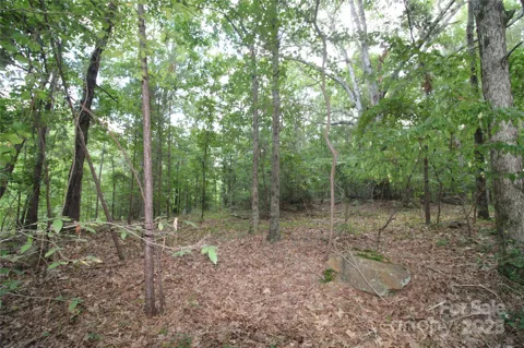 Lot 2 Lake Wylie Drive