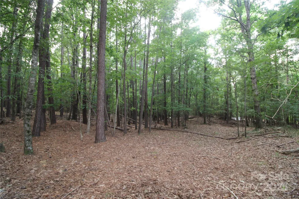 Lot 6 Lake Wylie Drive Rock Hill, SC 29732