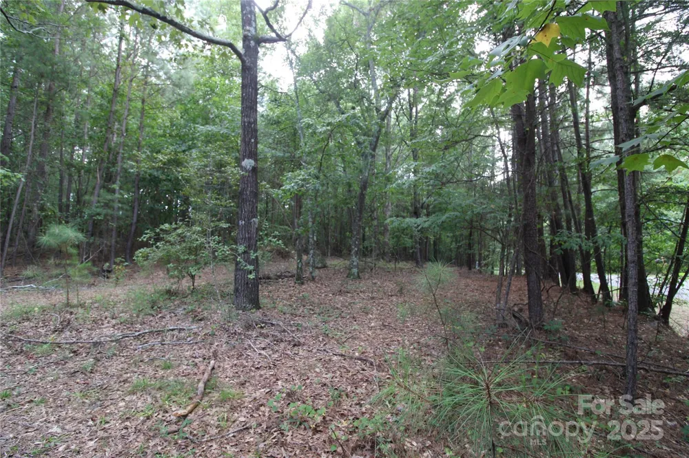 Lot 6 Lake Wylie Drive Rock Hill, SC 29732