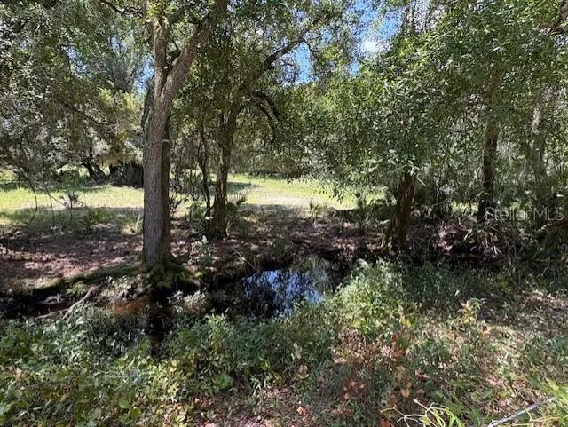 10613 SE FOSTER AVENUE Arcadia, FL 34266