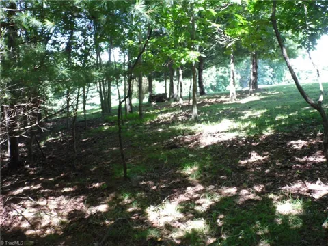 TBD Hickory View Drive