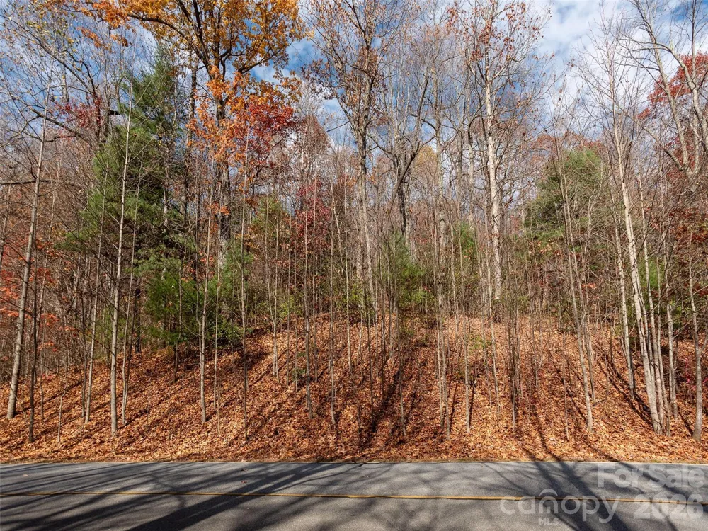 128 Pinnacle Peak Lane Flat Rock, NC 28731