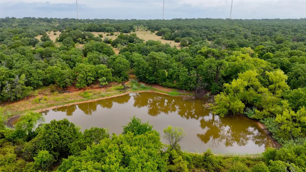 College Street Bryson, TX 76427