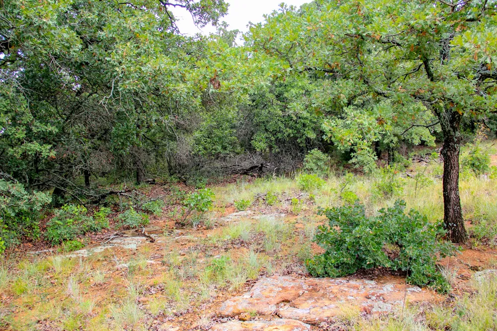 College Street Bryson, TX 76427