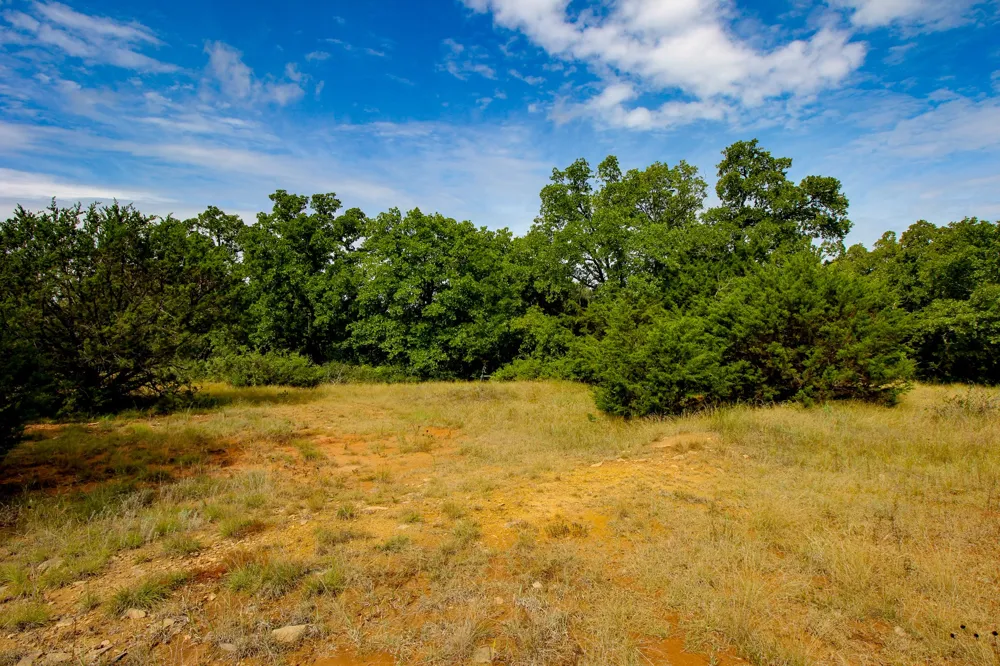 College Street Bryson, TX 76427
