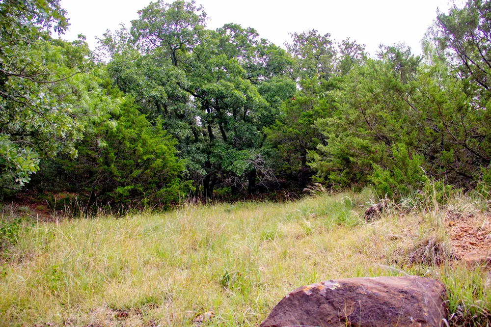 College Street Bryson, TX 76427