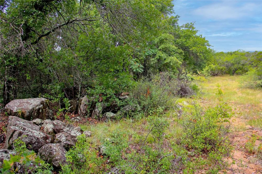 College Street Bryson, TX 76427