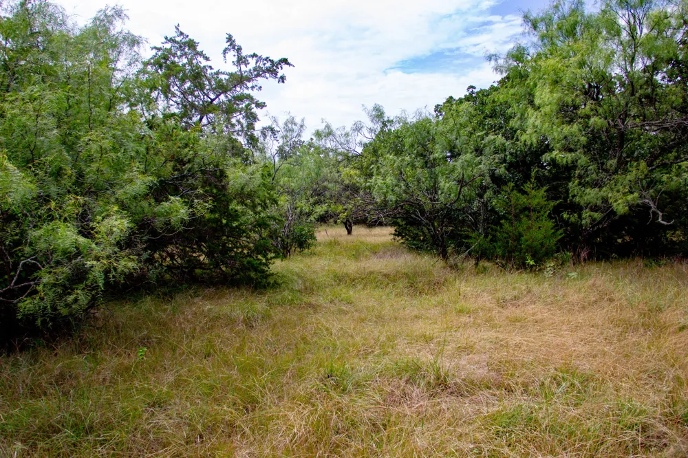 College Street Bryson, TX 76427